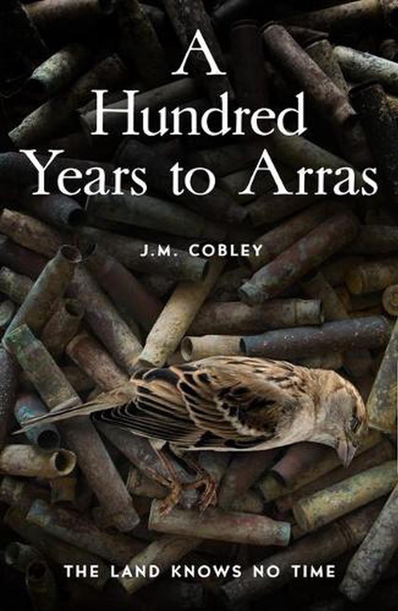 Hundred Years To Arras/Product Detail/Historical Fiction
