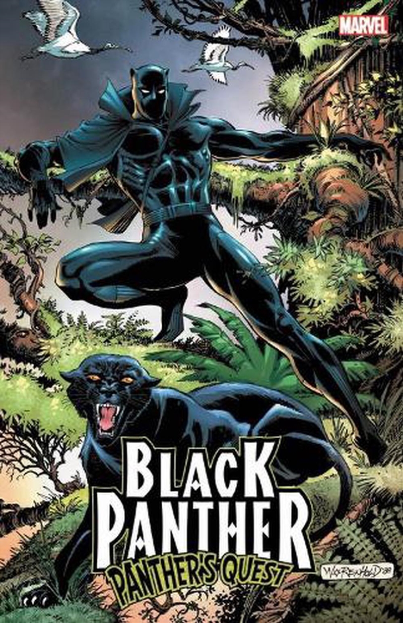 Black Panther Panthers Quest/Product Detail/Graphic Novels