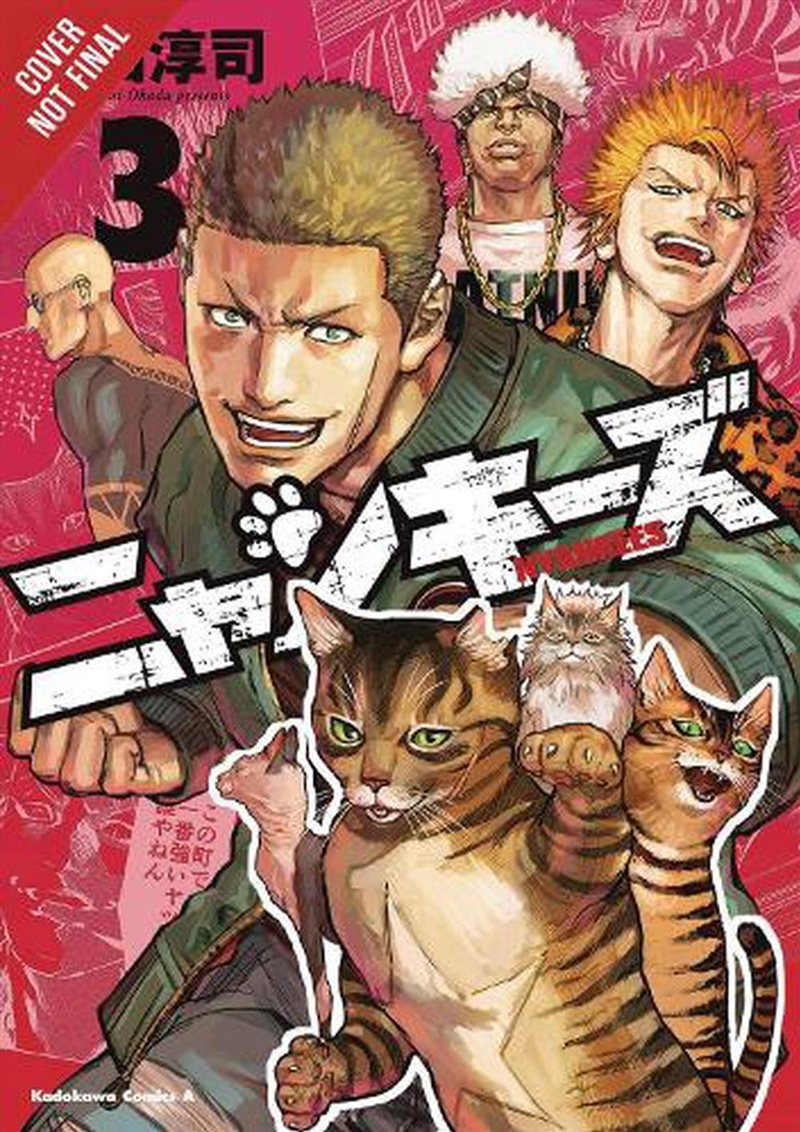 Nyankees Vol 3/Product Detail/Graphic Novels