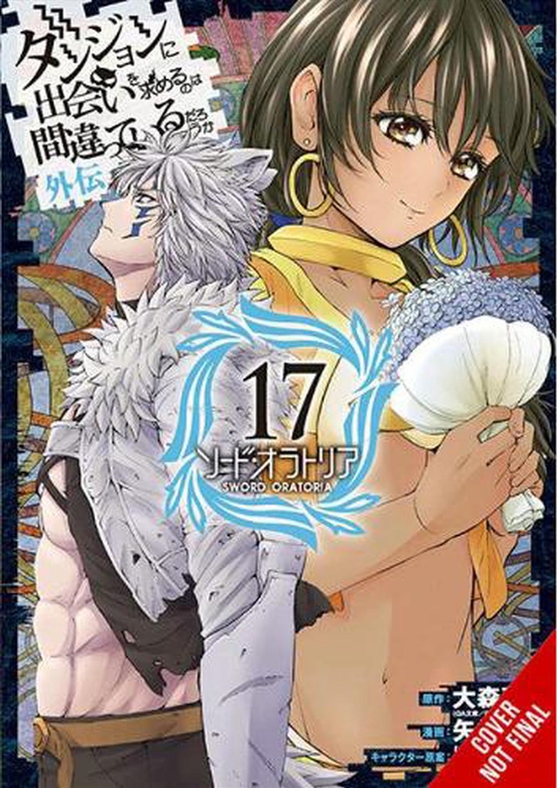 Is It Wrong To Pick Up Girls/Dungeon V17/Product Detail/Graphic Novels