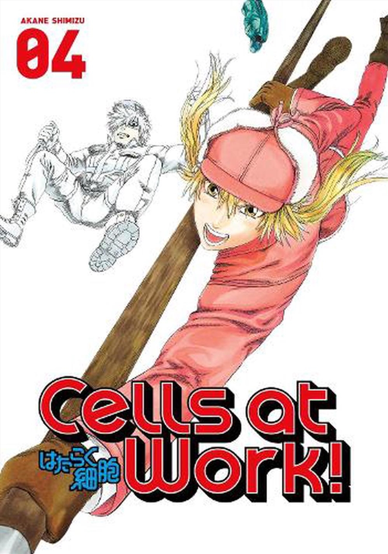 Cells At Work 4/Product Detail/Graphic Novels