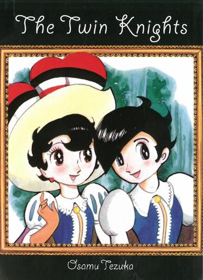 Twin Knight/Product Detail/Graphic Novels