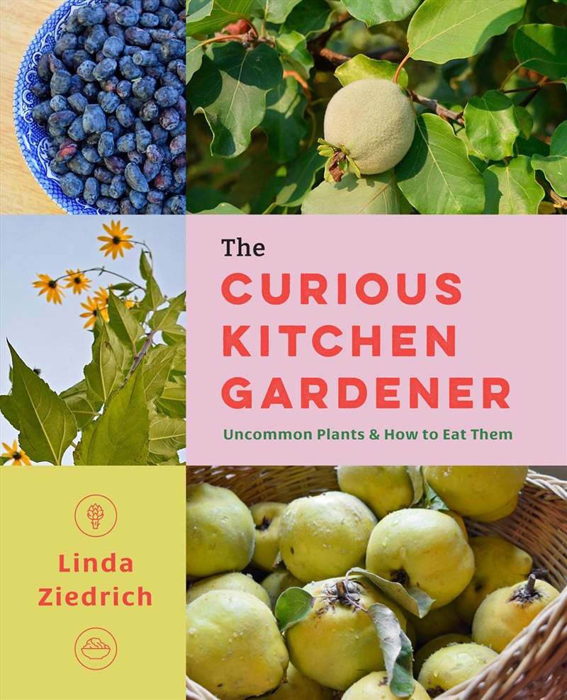 The Curious Kitchen Gardener - Uncommon Plants and How to Eat Them/Product Detail/Recipes, Food & Drink