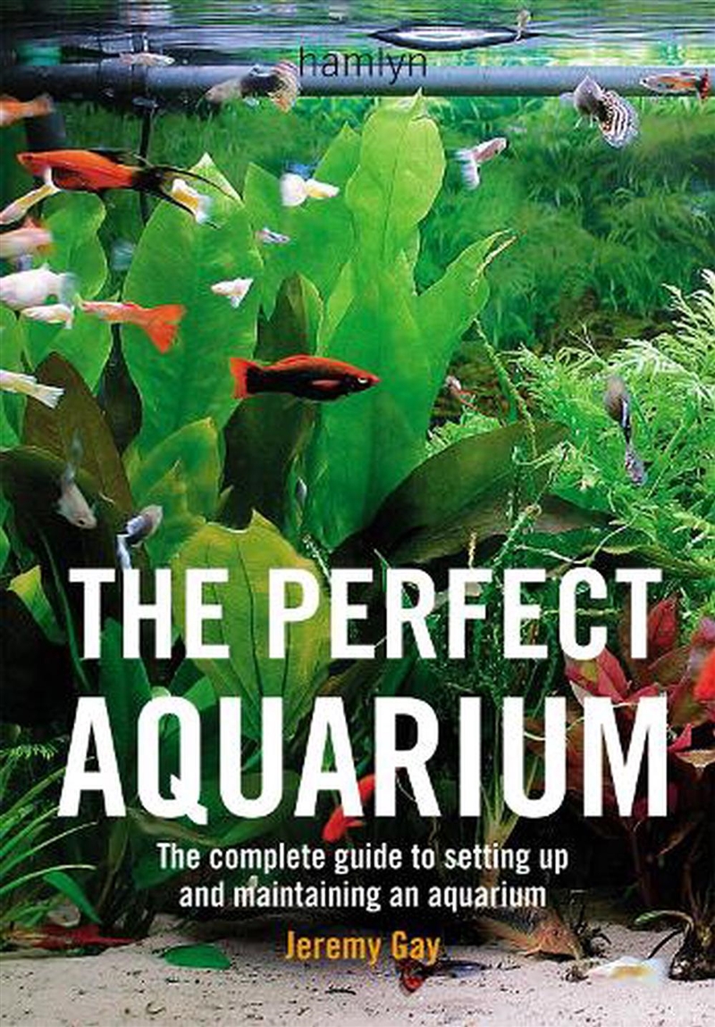 The Perfect Aquarium/Product Detail/Animals & Nature
