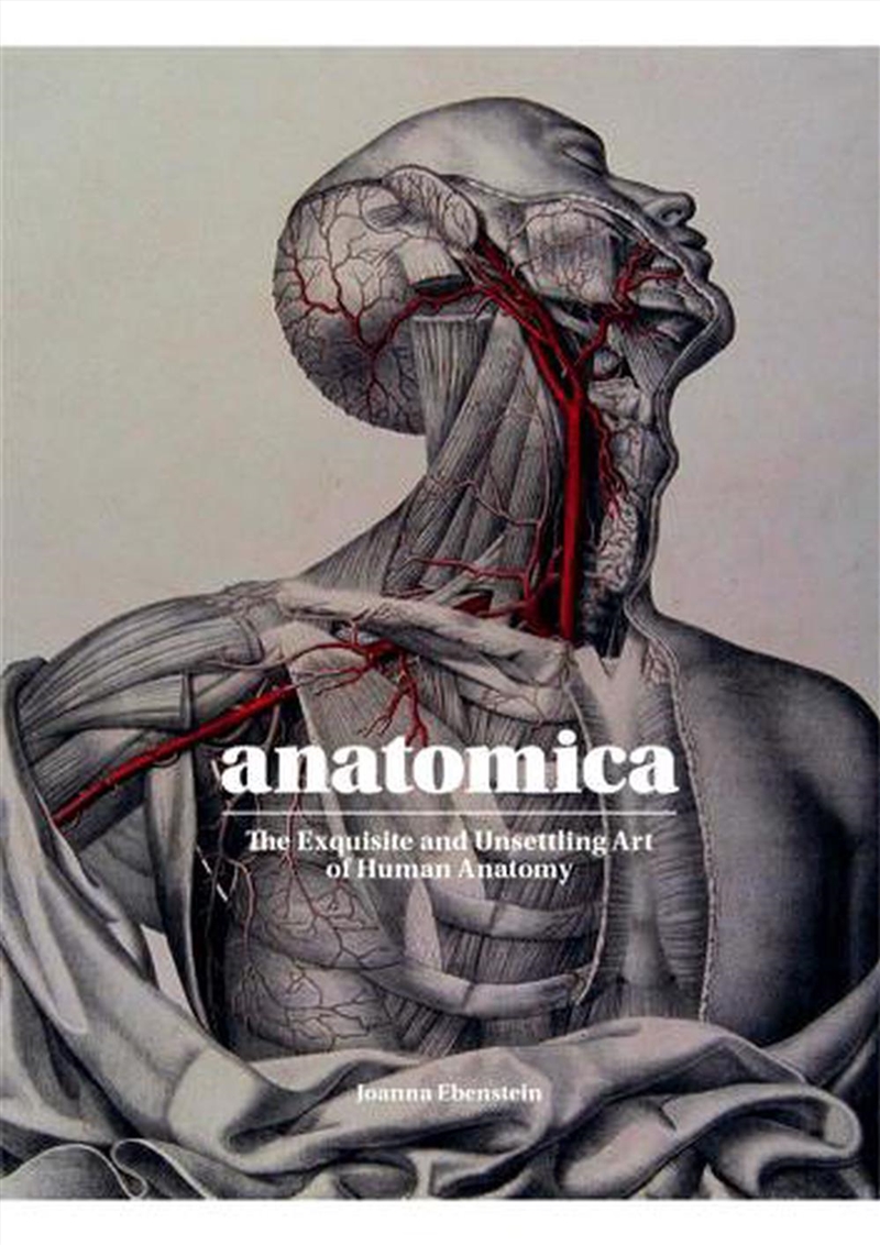 Anatomica/Product Detail/Reading