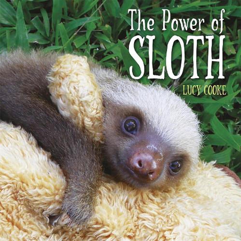 The Power Of Sloth/Product Detail/Childrens