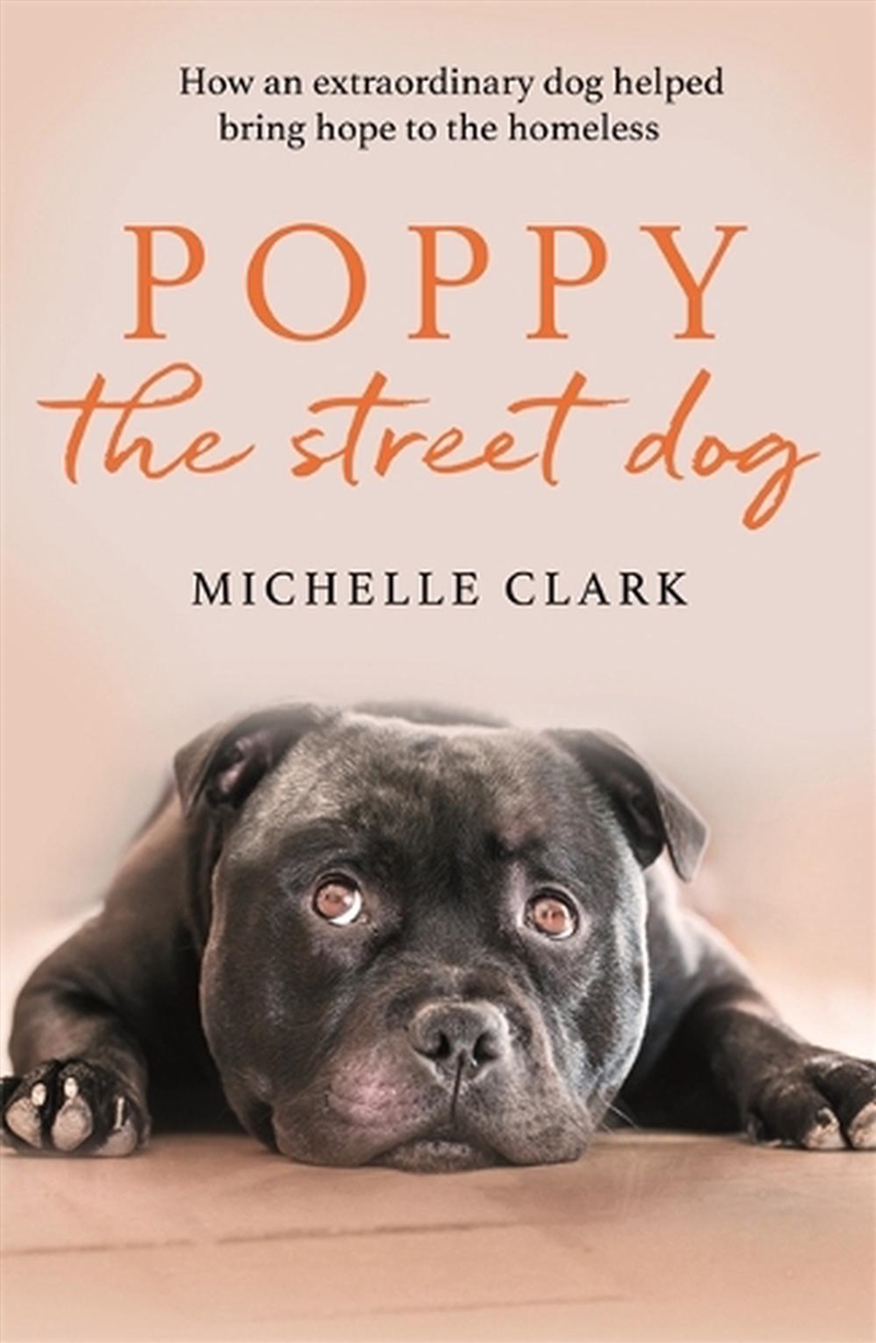 Poppy The Street Dog/Product Detail/Animals & Nature