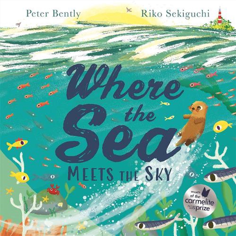 Where the Sea Meets the Sky/Product Detail/Early Childhood Fiction Books