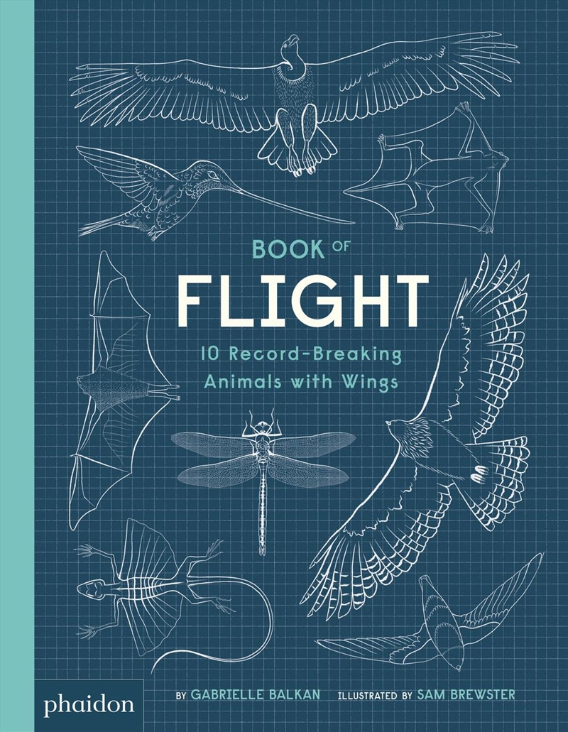 Book of Flight/Product Detail/Early Childhood Fiction Books