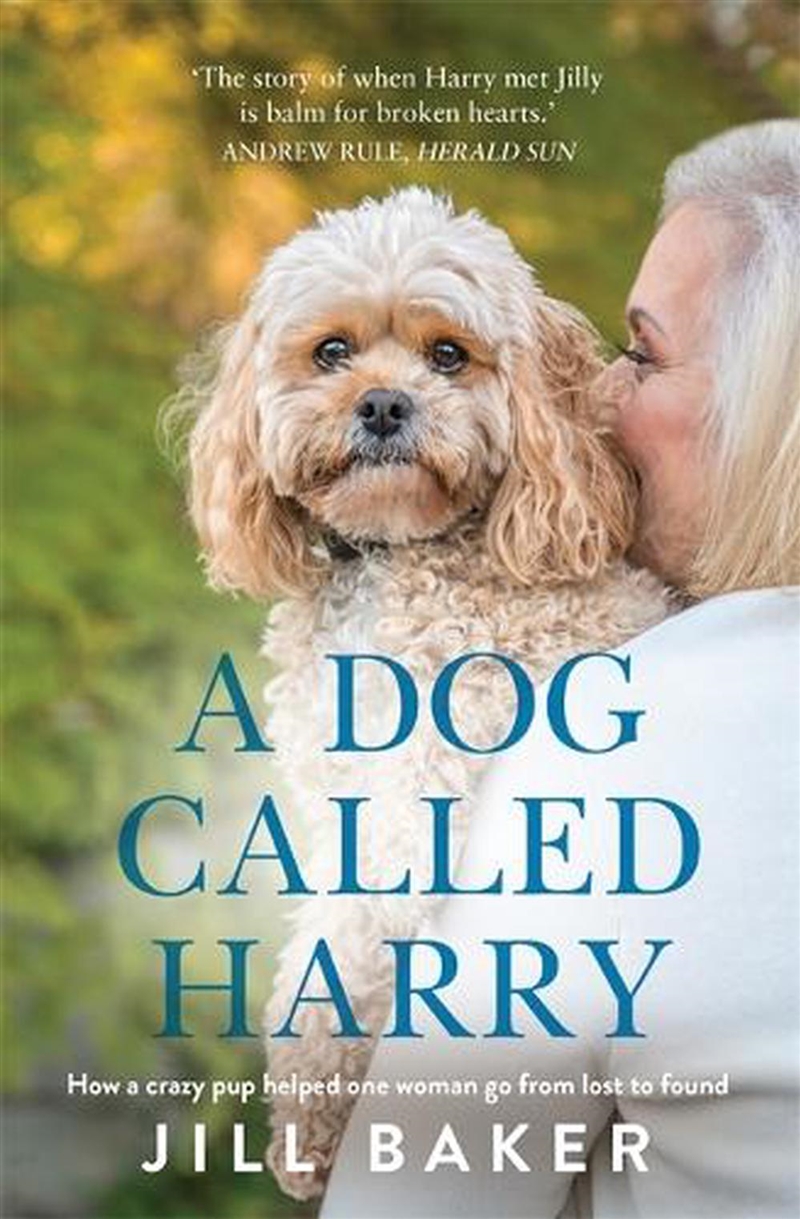 A Dog Called Harry/Product Detail/Biographies & True Stories