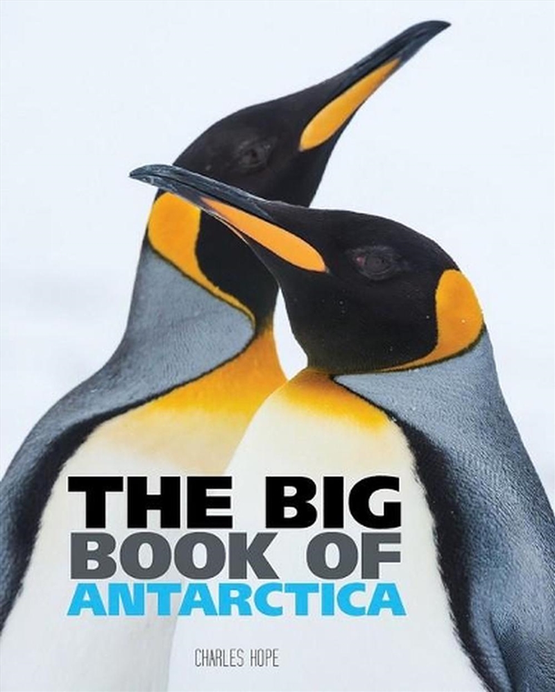 Big Book of Antarctica/Product Detail/Early Childhood Fiction Books