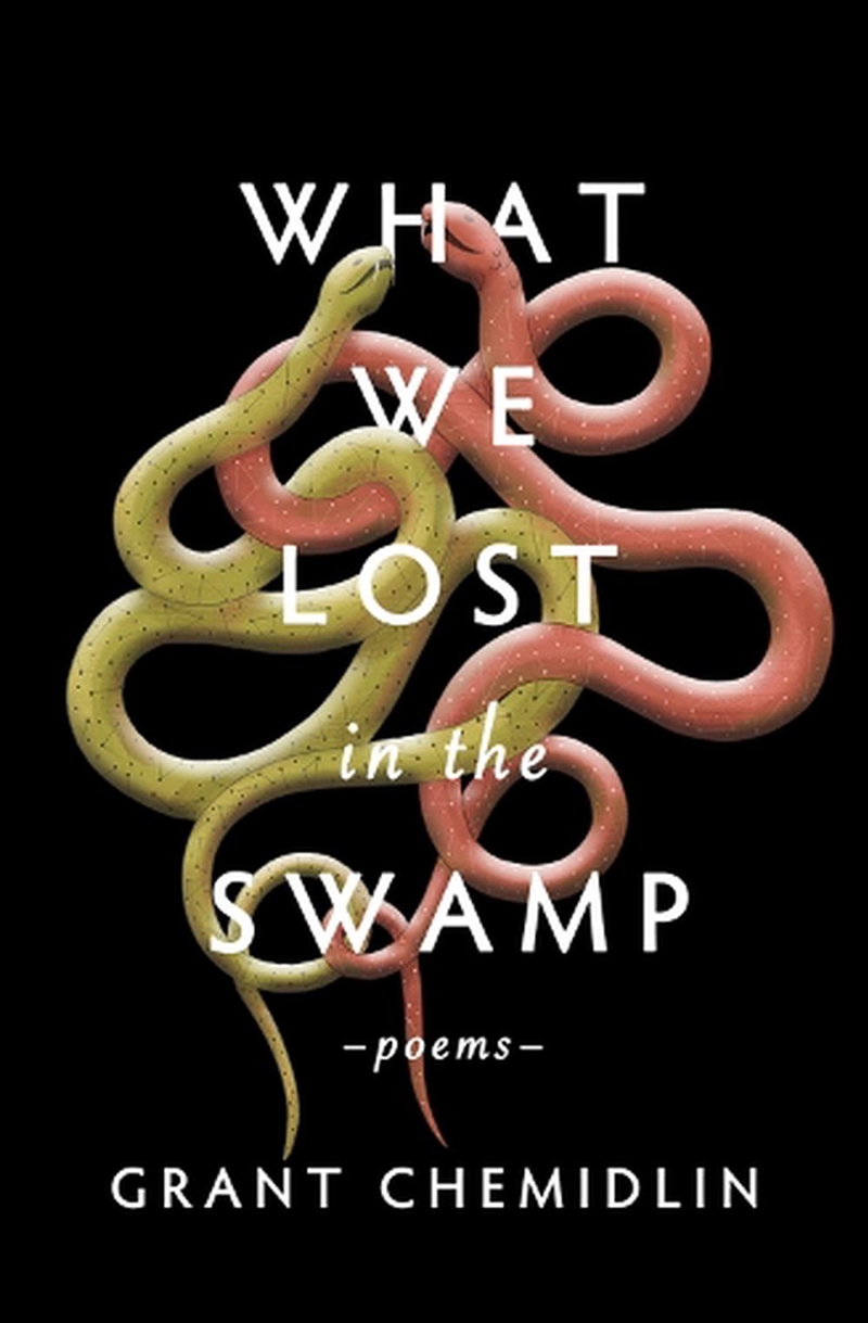 What We Lost in the Swamp/Product Detail/Poetry