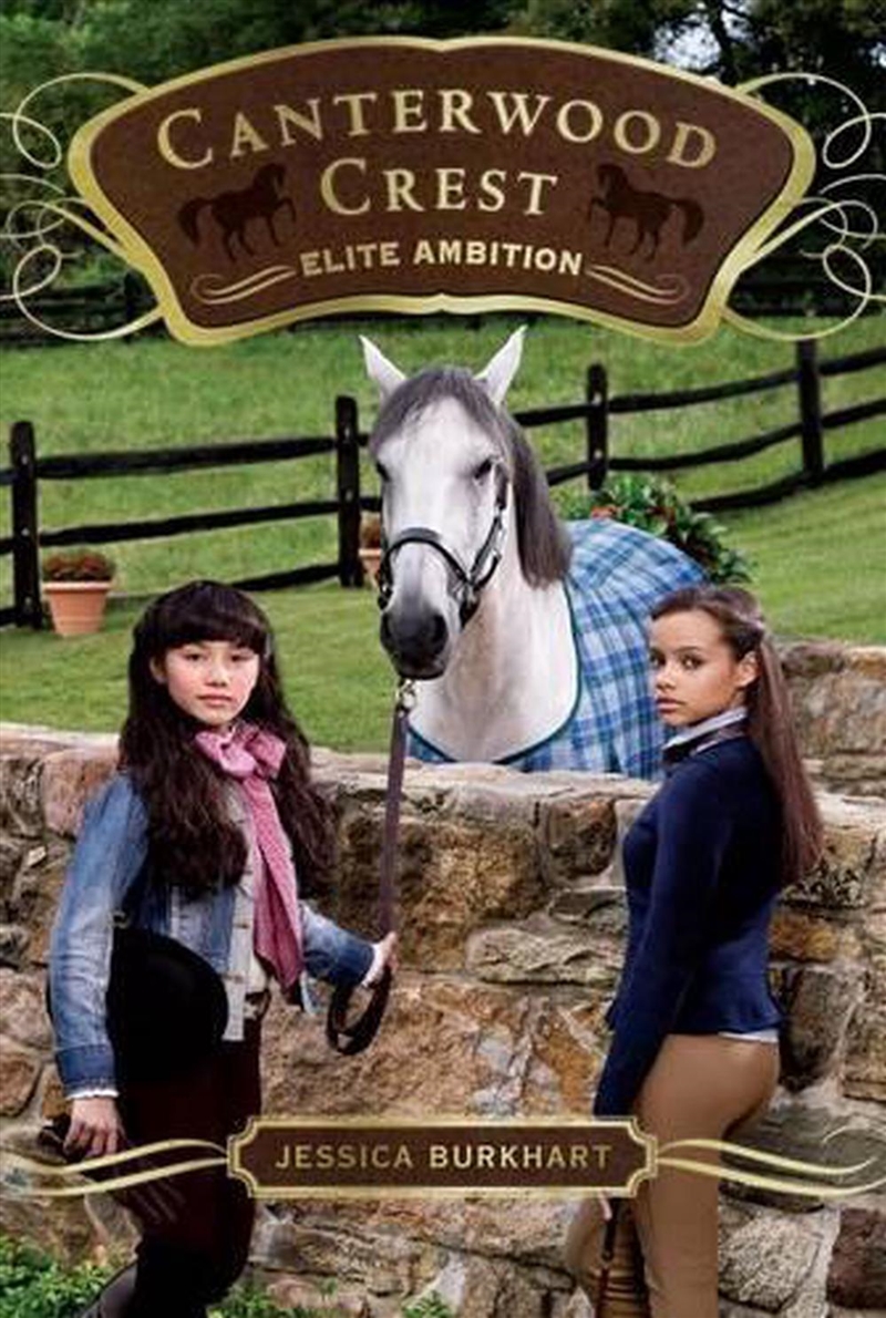 Elite Ambition/Product Detail/Childrens Fiction Books