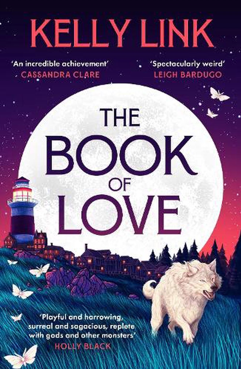 The Book of Love/Product Detail/Fantasy Fiction