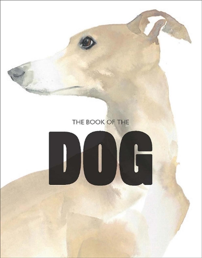 The Book Of The Dog/Product Detail/Reading