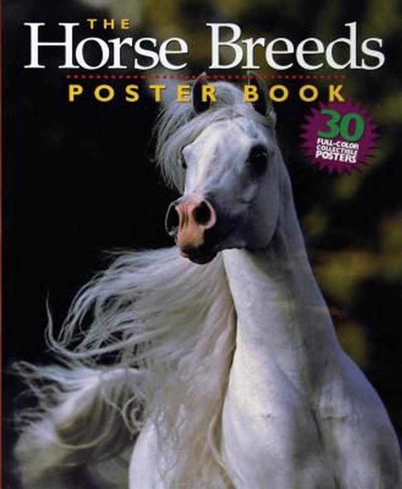 The Horse Breeds Poster Book/Product Detail/Childrens
