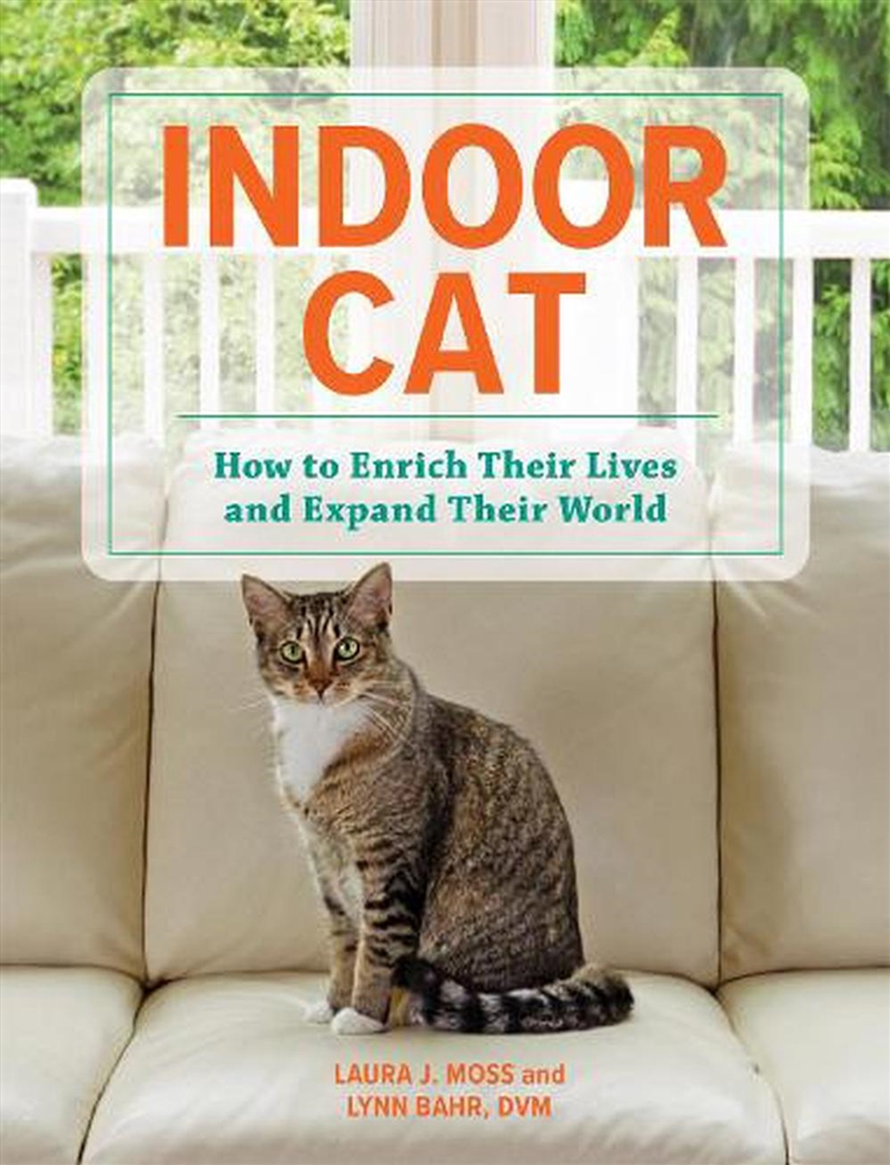 Indoor Cat/Product Detail/Animals & Nature