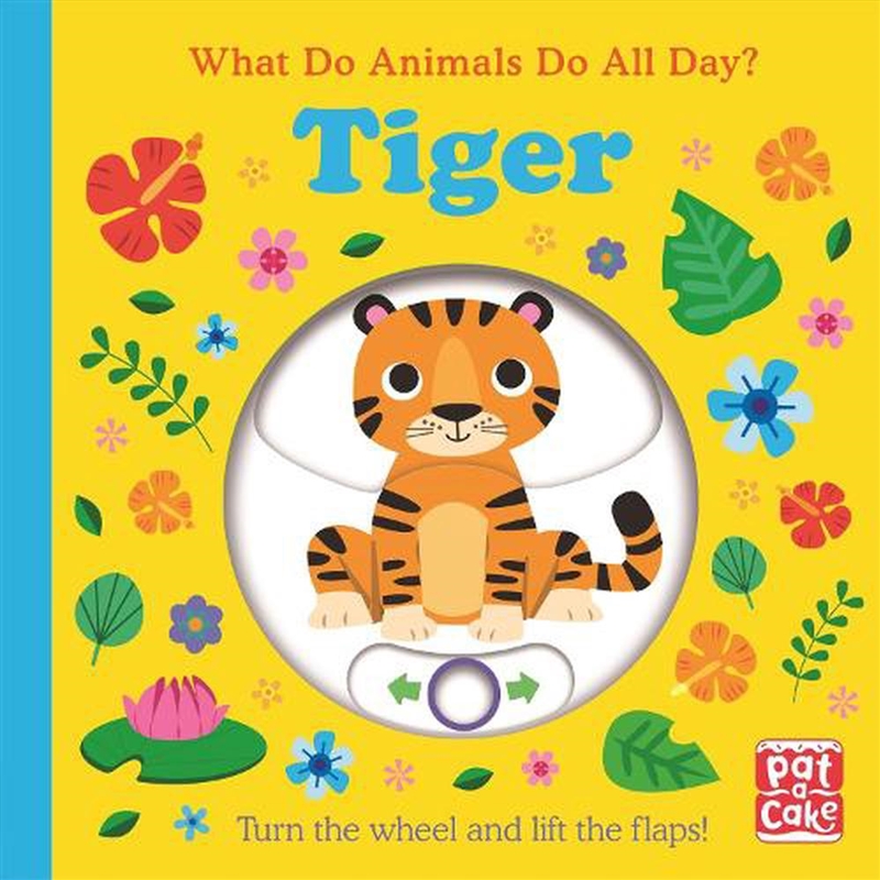 What Do Animals Do All Day?: T/Product Detail/Early Childhood Fiction Books