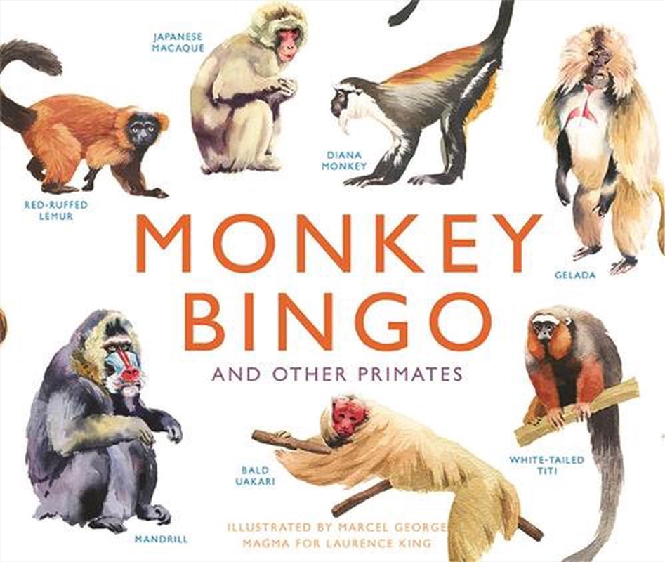 Monkey Bingo/Product Detail/Board Games
