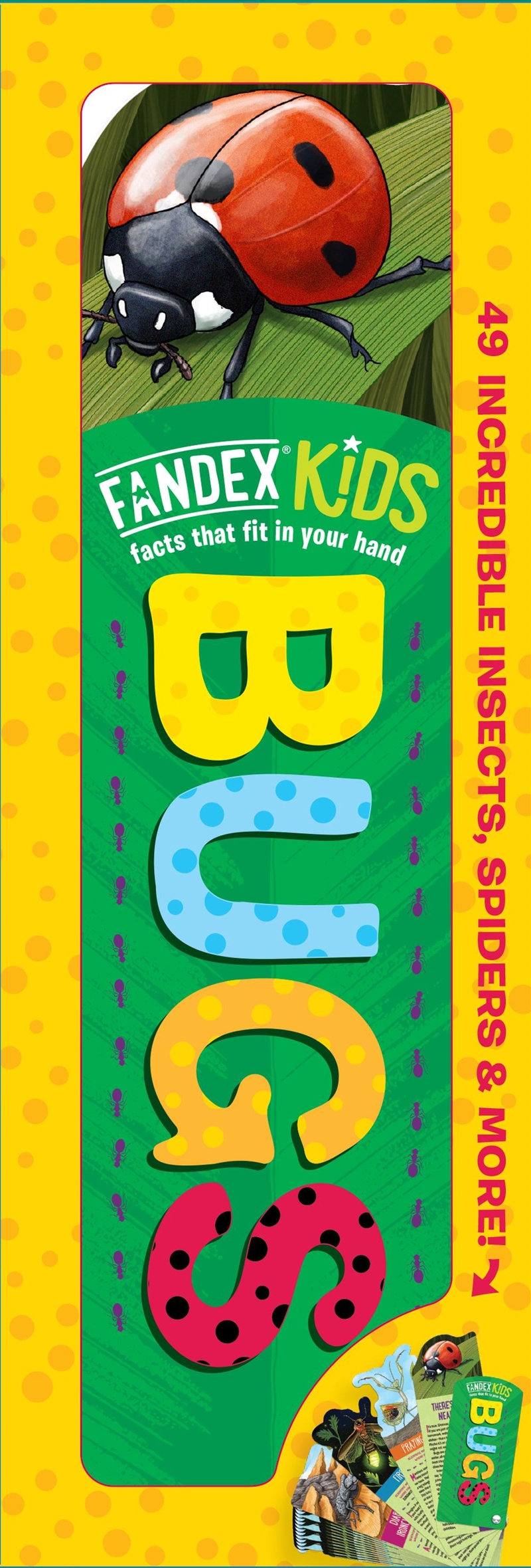 Fandex Kids: Bugs/Product Detail/Childrens