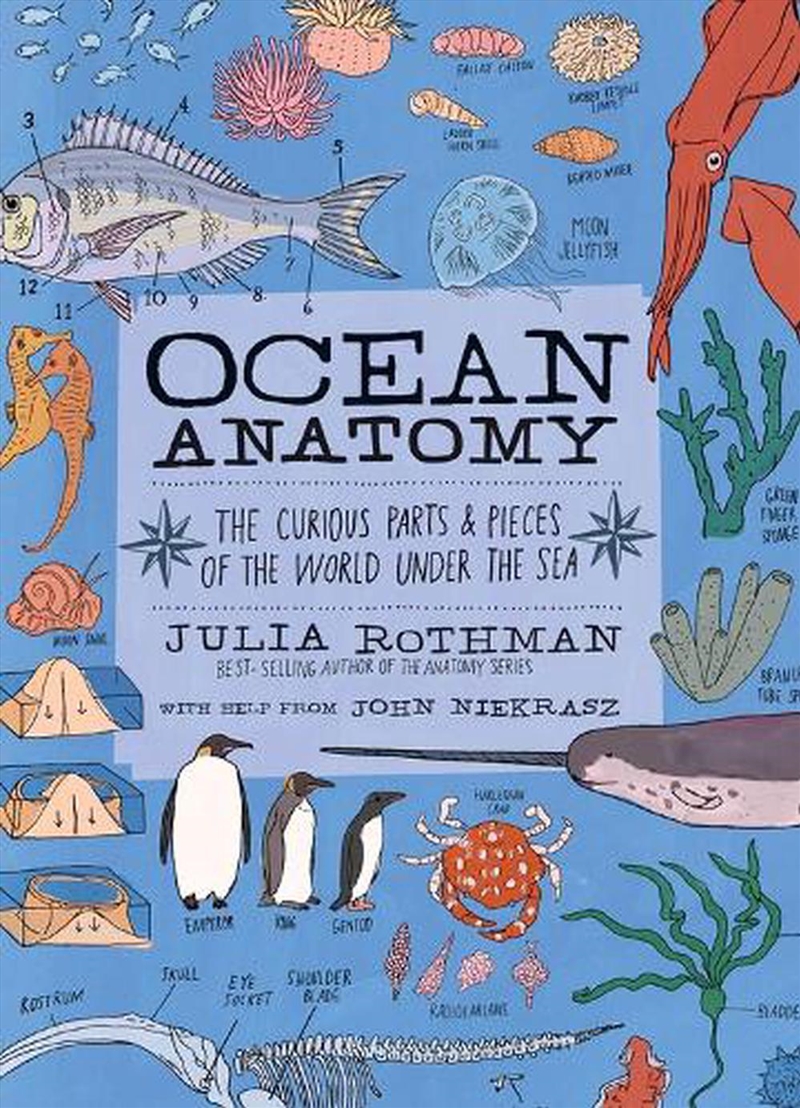 Ocean Anatomy/Product Detail/Animals & Nature