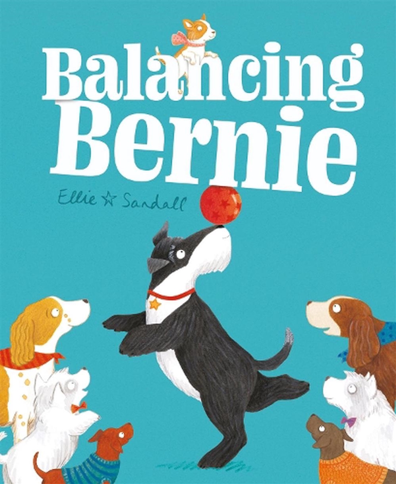 Balancing Bernie/Product Detail/Early Childhood Fiction Books