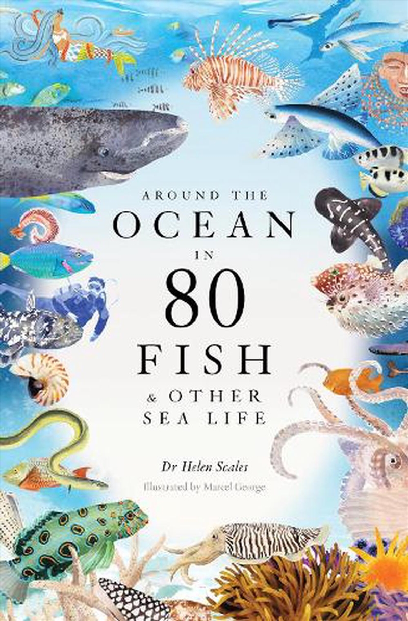 Around The Ocean In 80 Fish An/Product Detail/Animals & Nature