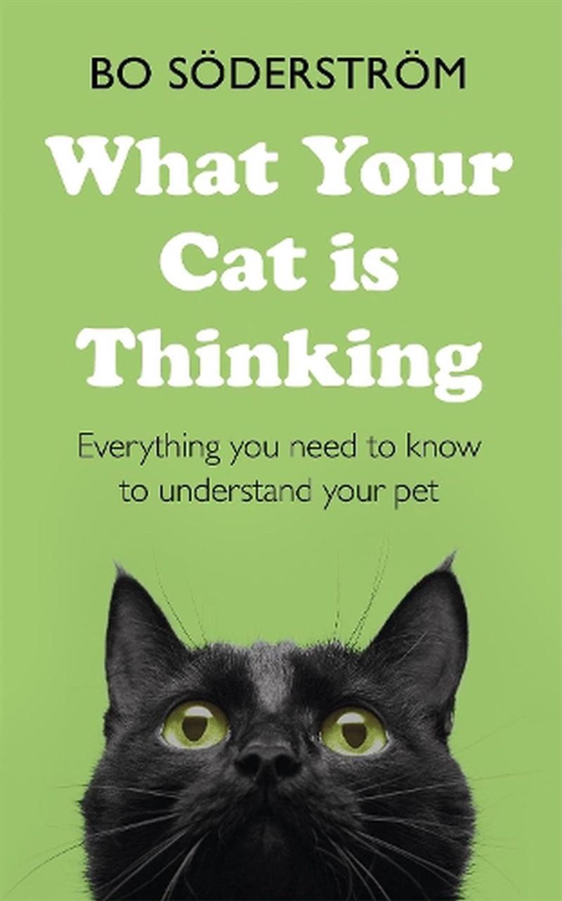 What Your Cat Is Thinking/Product Detail/Animals & Nature