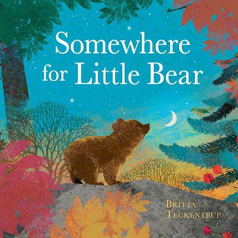 Somewhere For Little Bear/Product Detail/Early Childhood Fiction Books