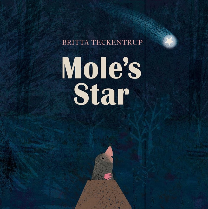 Mole's Star/Product Detail/Early Childhood Fiction Books