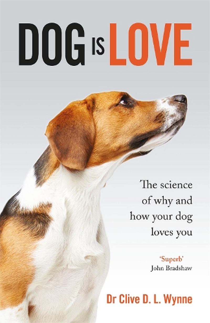 Dog Is Love/Product Detail/Animals & Nature
