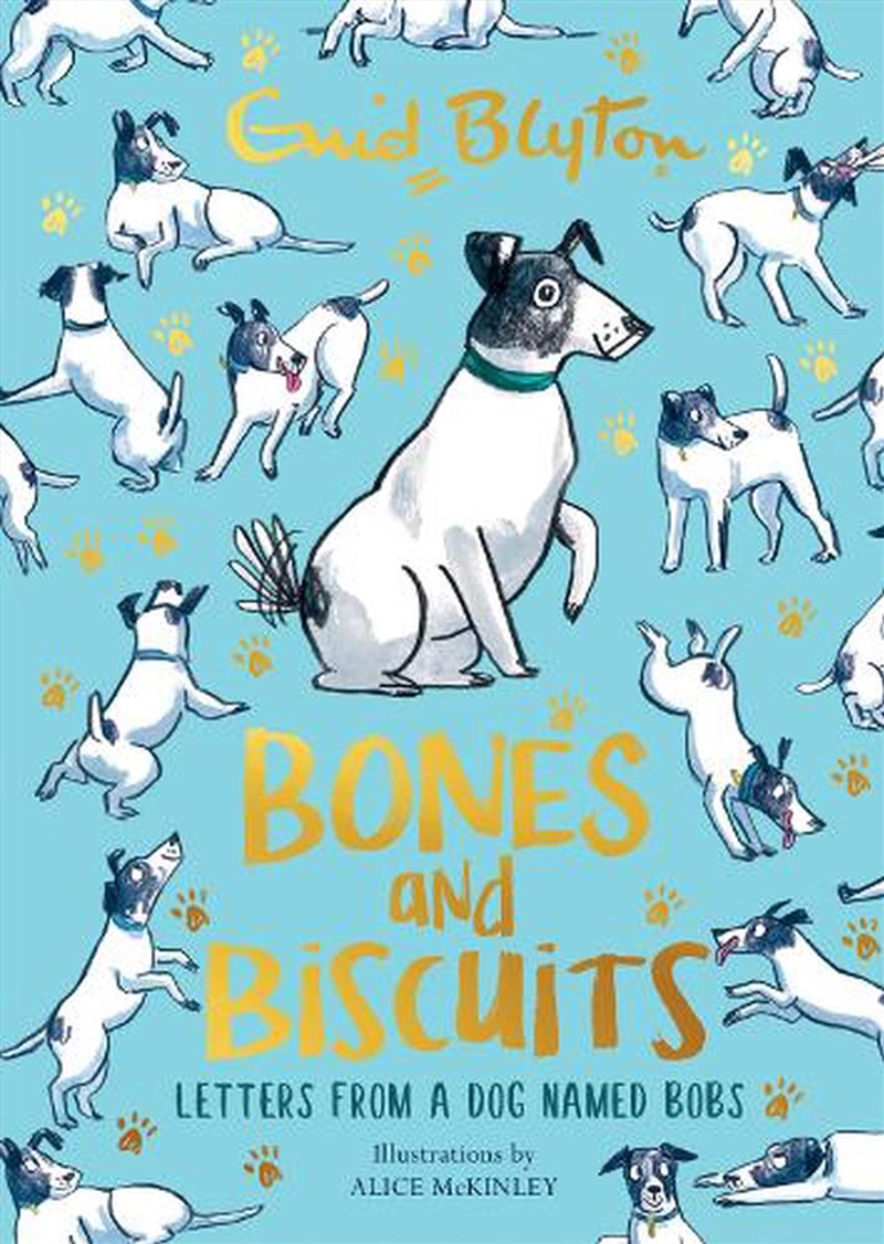 Bones And Biscuits/Product Detail/Childrens Fiction Books