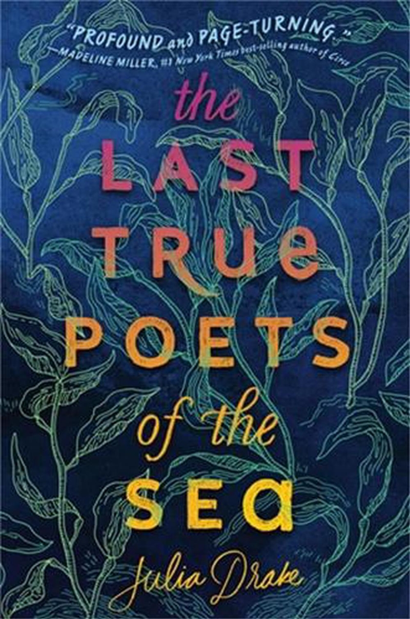 The Last True Poets Of The Sea/Product Detail/Childrens Fiction Books