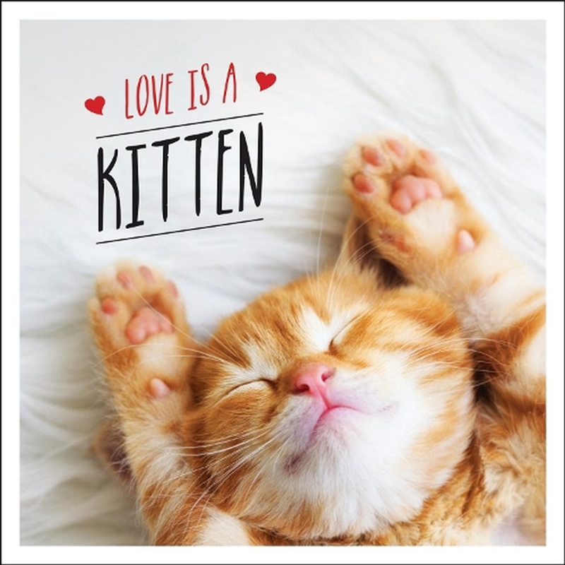 Love Is A Kitten/Product Detail/Comedy