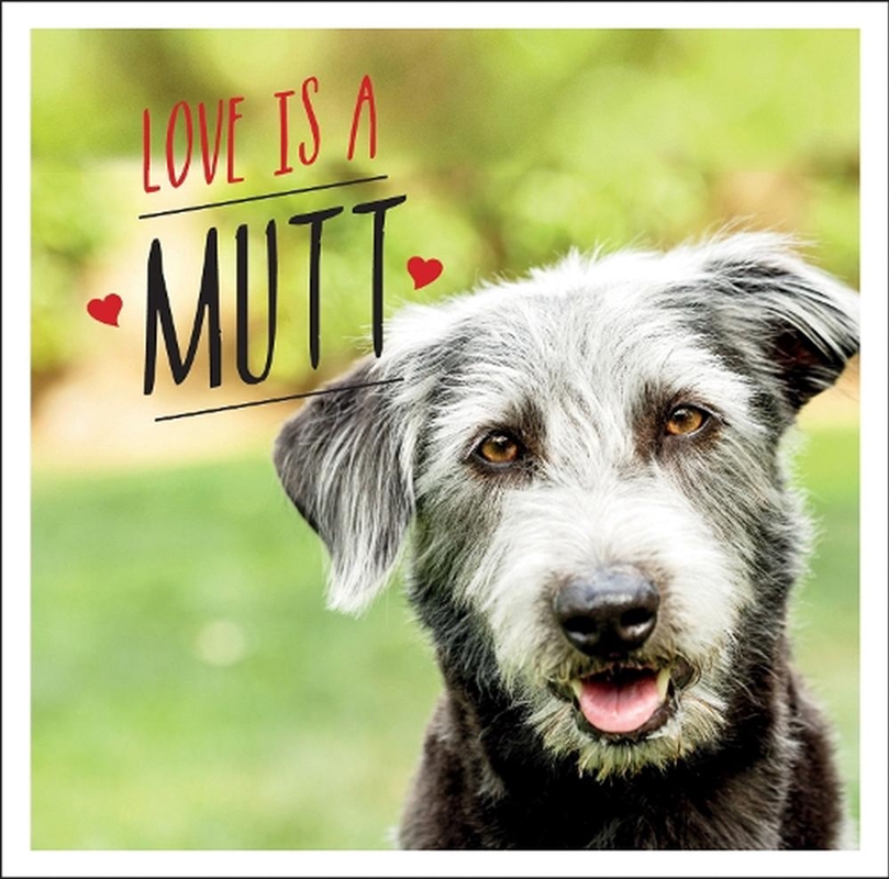 Love Is A Mutt/Product Detail/Reading