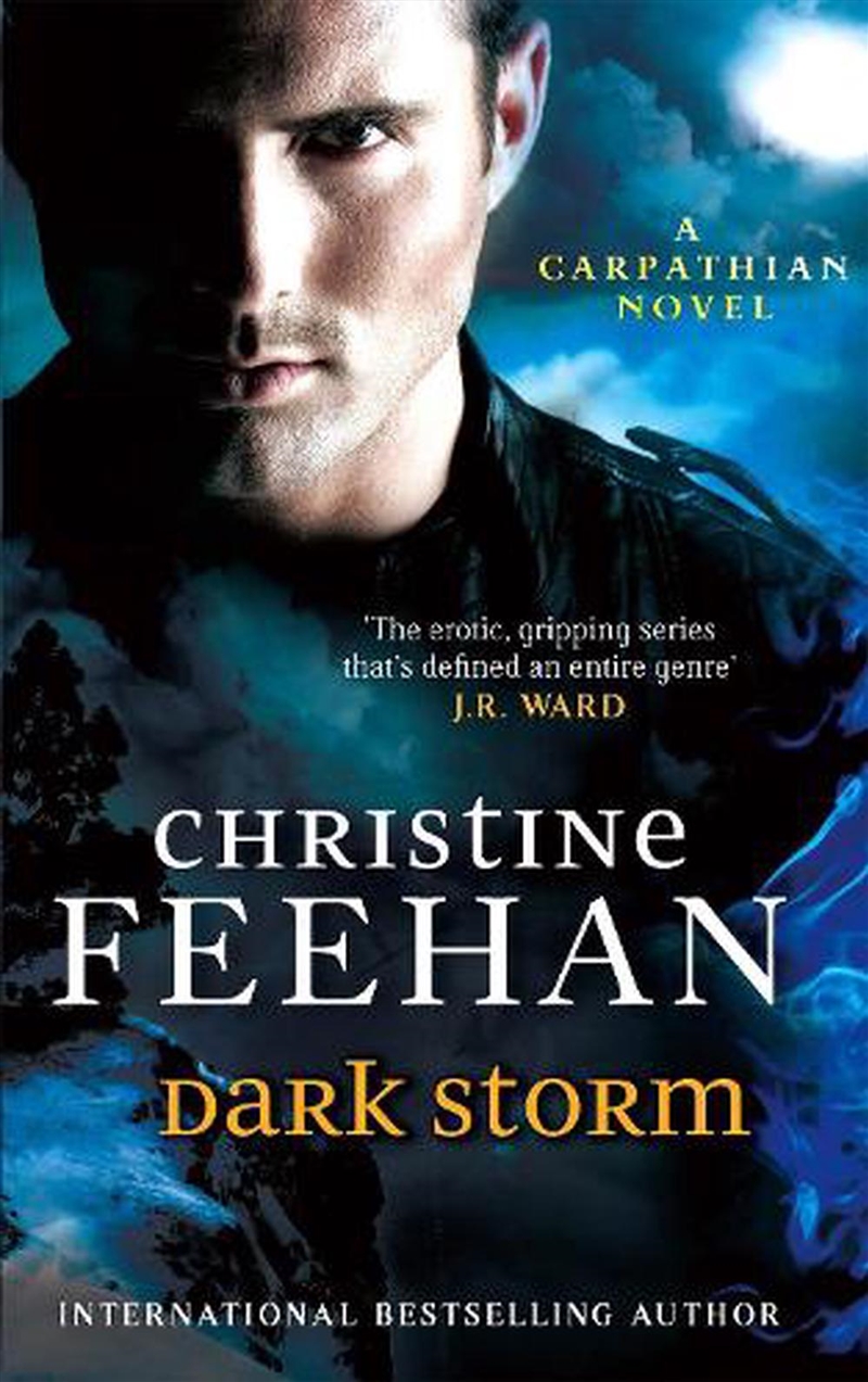 Dark Storm/Product Detail/Fantasy Fiction