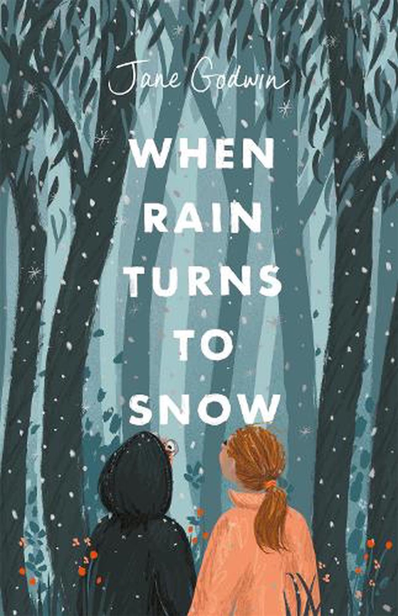 When Rain Turns to Snow/Product Detail/Childrens Fiction Books