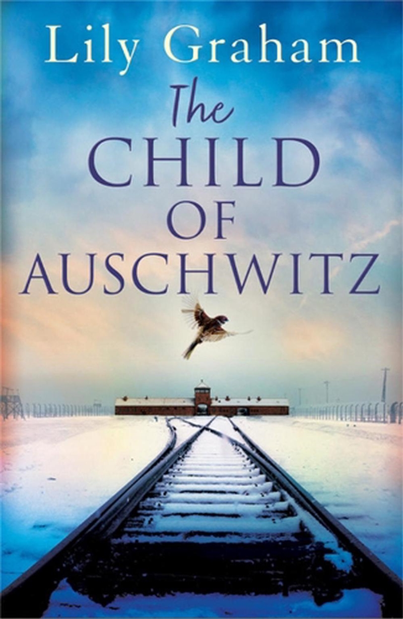 The Child of Auschwitz/Product Detail/Historical Fiction