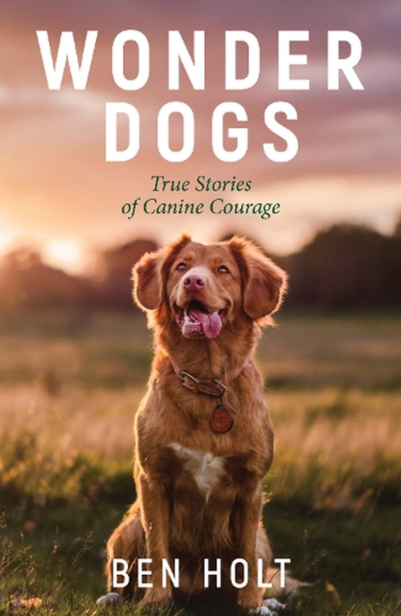 Wonder Dogs/Product Detail/True Stories and Heroism