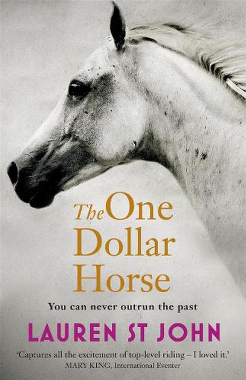 The One Dollar Horse/Product Detail/Childrens Fiction Books