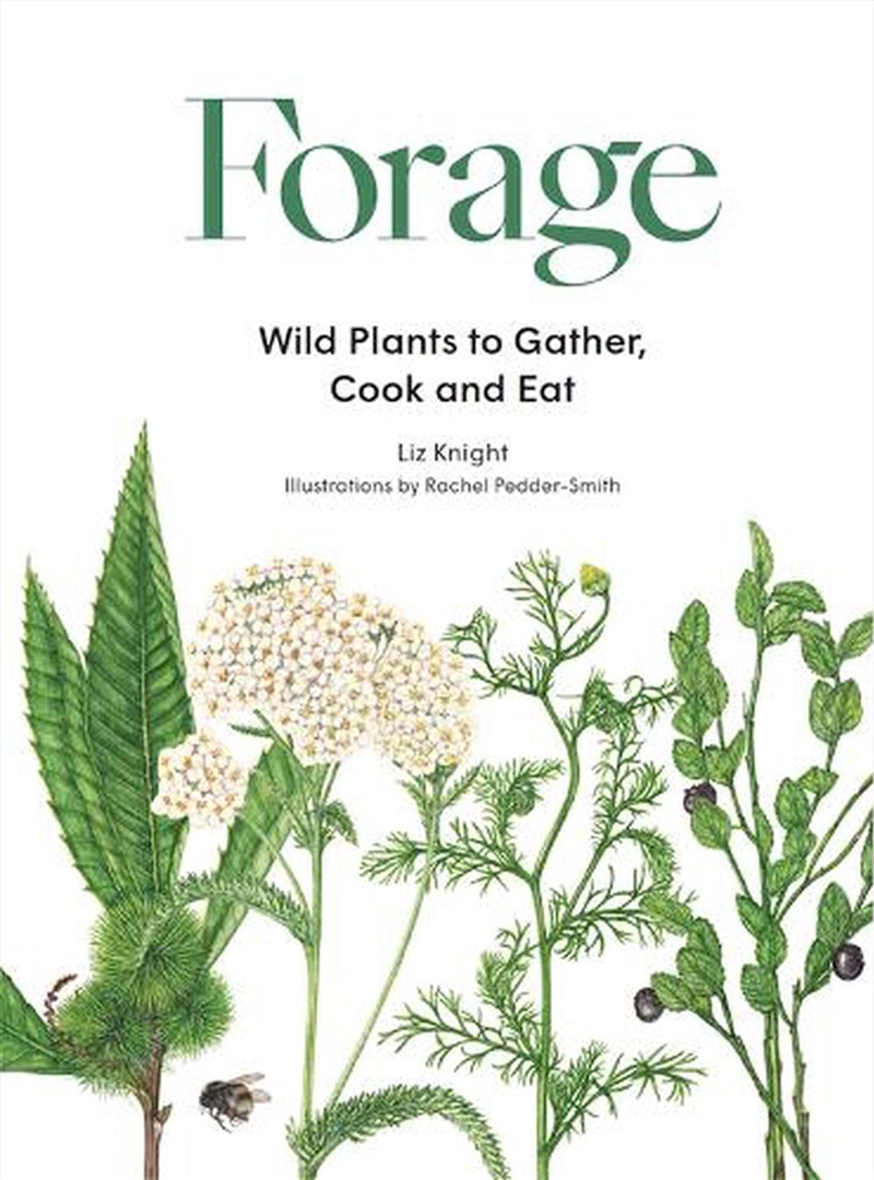 Forage/Product Detail/Recipes, Food & Drink