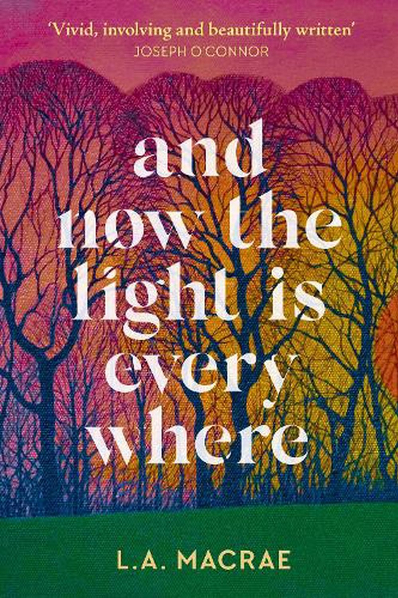 And Now the Light is Everywhere/Product Detail/Crime & Mystery Fiction