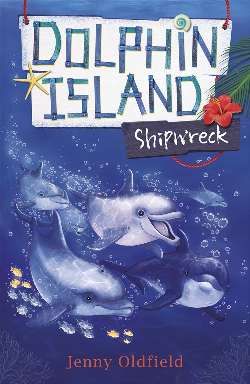 Dolphin Island: Shipwreck/Product Detail/Childrens Fiction Books