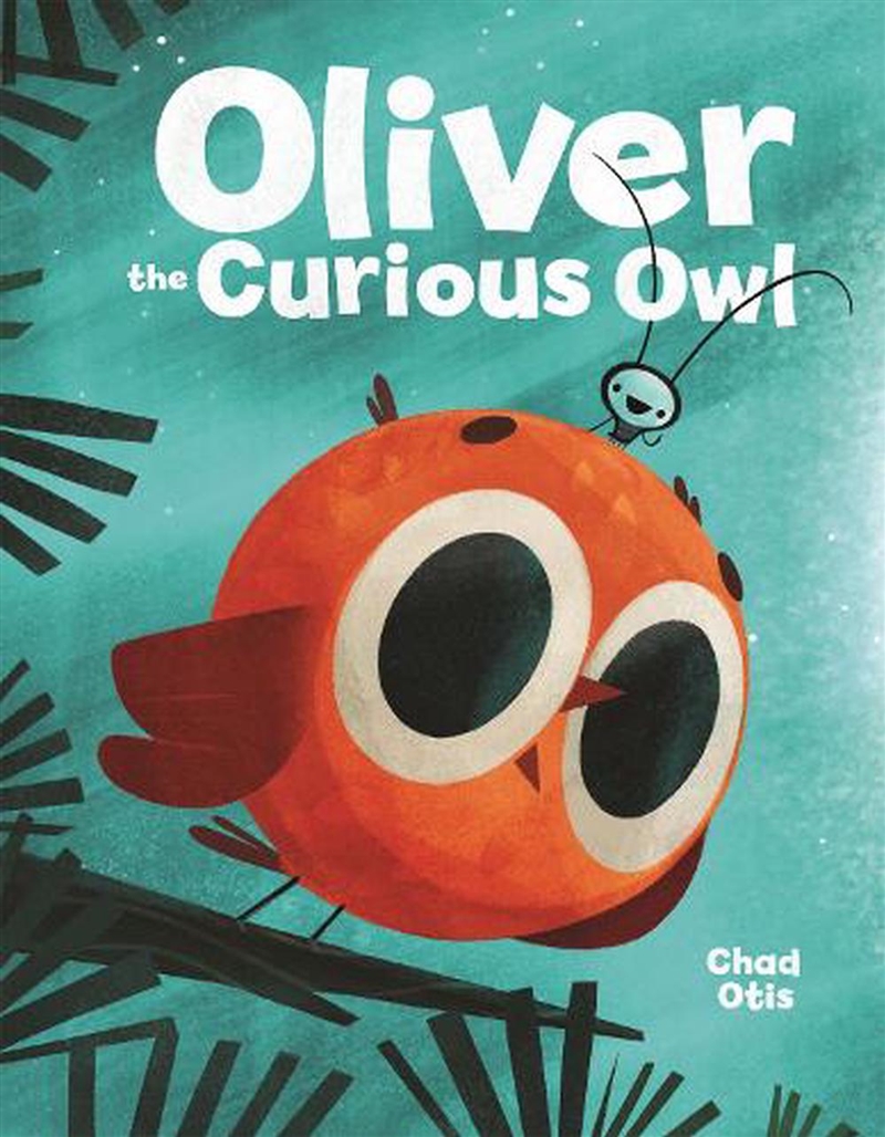 Oliver the Curious Owl/Product Detail/Childrens Fiction Books