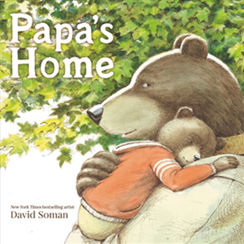 Papa's Home/Product Detail/Childrens Fiction Books