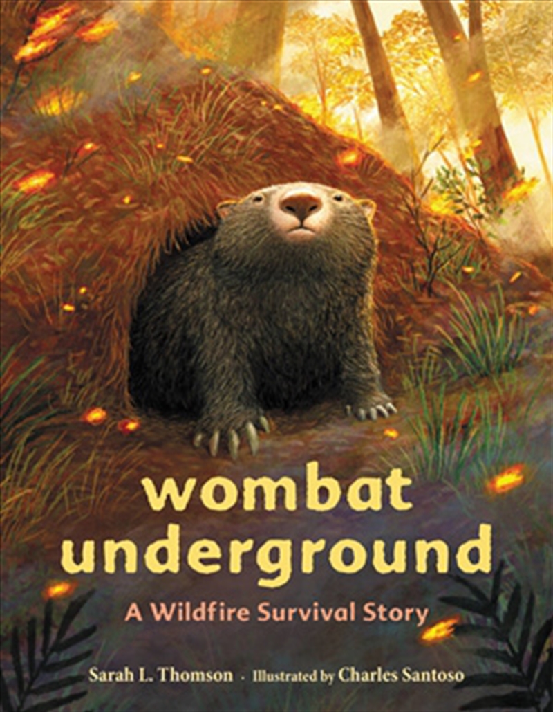 Wombat Underground/Product Detail/Childrens Fiction Books