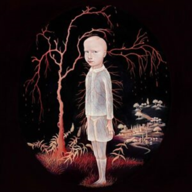 The Smile You Send Out Returns To You - Pink Vinyl/Product Detail/Rock/Pop