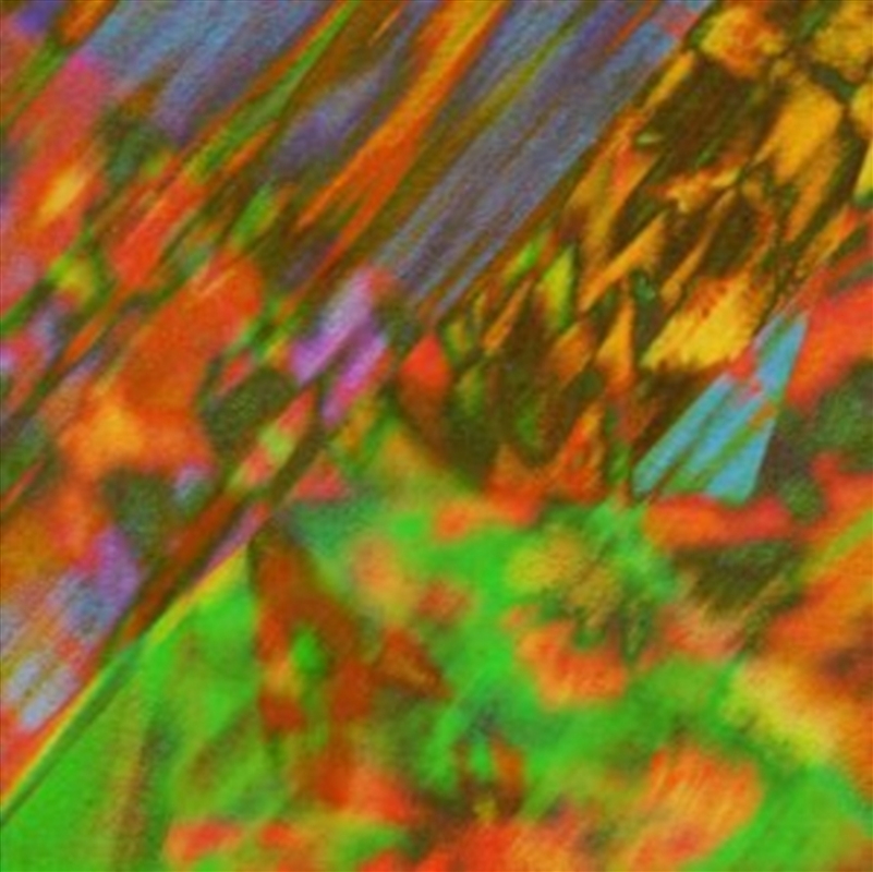 Stay Here/Product Detail/Dance