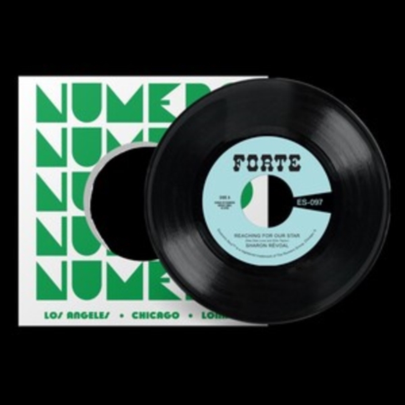 Reaching For Our Star / Run Between The Raindrops - While My Teardrops Fall/Product Detail/R&B