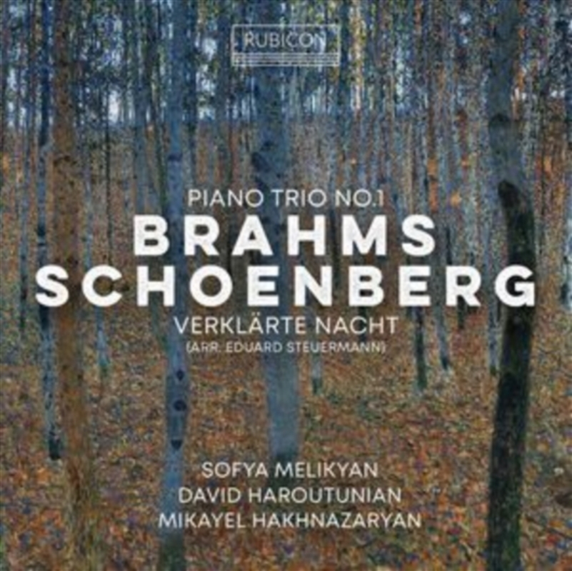 Brahms: Piano Trio No. 1 - Schoenberg: Verklarte Nacht/Product Detail/Classical